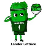 LanderLettuce